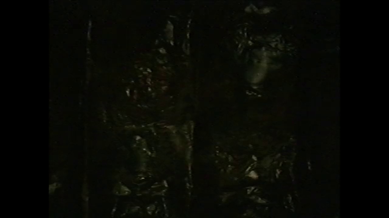 V H S Beyond (2024) WEBRip English 720p x264 AVC AAC 2.0.mkv.0004